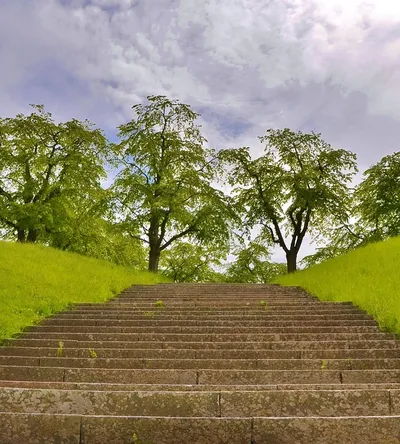 Landscape by Personal Garden Coach