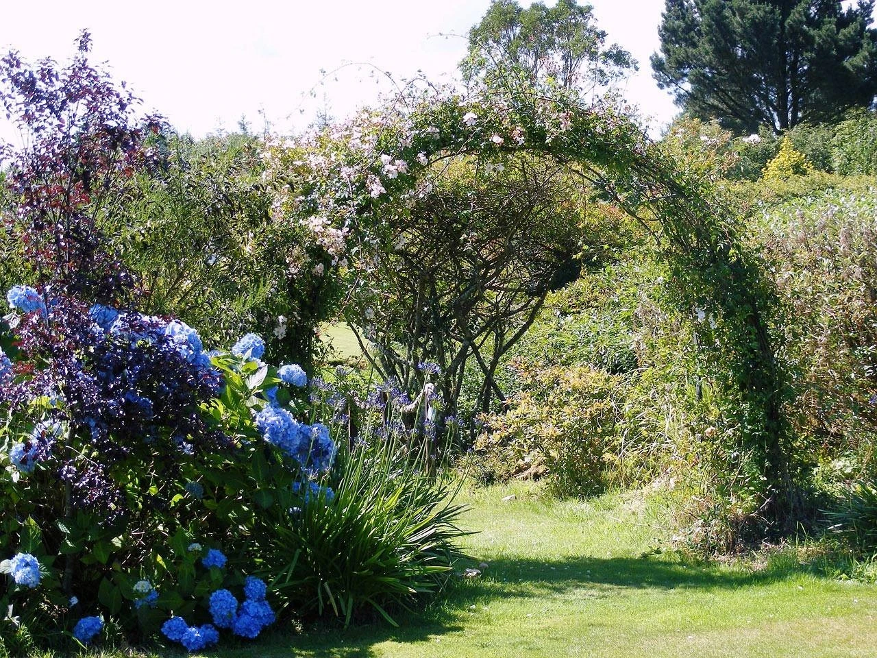 Garden arch illustrations - decorative metal arch