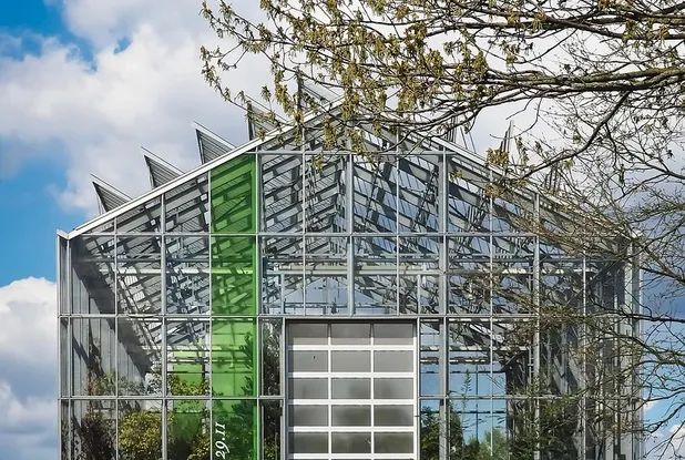 Modern Landscape by Living Green Design