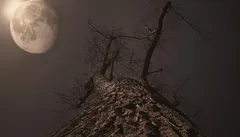 1477943573-1476997243-supermoon