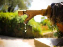 dripping tap in garden