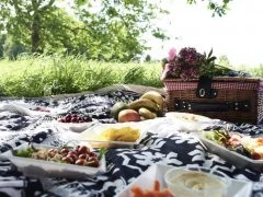 Picnic in a park in the summer