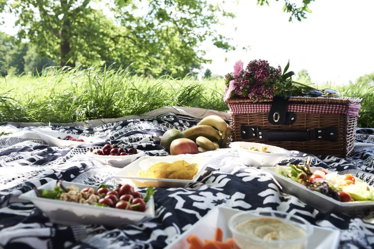 Picnic in a park in the summer