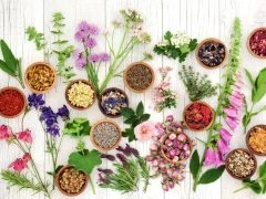 Herbs and Flowers for Herbal Medicine